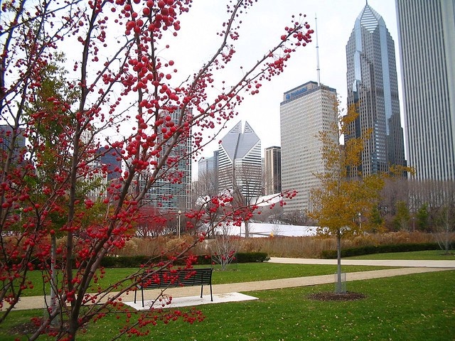 Autumn in Chicago